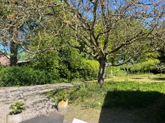 IMG_2221.jpeg