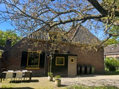 IMG_2223.jpeg