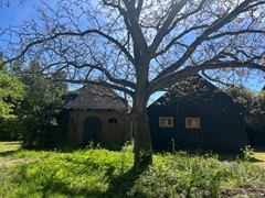 IMG_2225.jpeg