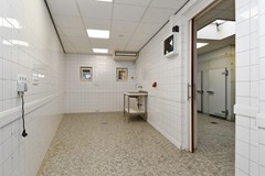 55.JPG