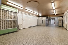63.JPG