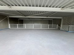 IMG_1597.jpeg