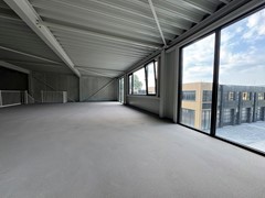IMG_1593.jpeg