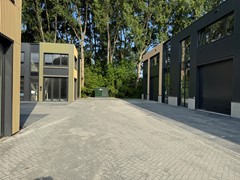IMG_1553.jpeg