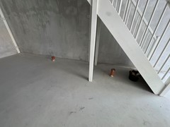 IMG_1647.jpeg