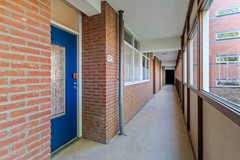 04.jpg