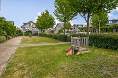 Fonteinkruid 18-24.jpg