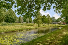 Fonteinkruid 18-25.jpg