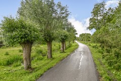 Fonteinkruid 18-26.jpg