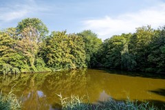 Kantershof481104GCAmsterdam-38.jpg