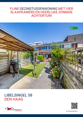 Brochure preview - LS58 brochure.pdf