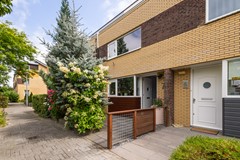 1. Koolzaadveld 7  1D8A0132.jpg