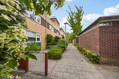 41. Koolzaadveld 7  1D8A0074.jpg