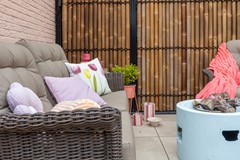 Koolzaadveld 1D8A9996-HDR.jpg