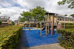 Koolzaadveld 1D8A0144-HDR.jpg