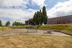 Koolzaadveld 1D8A0153-HDR.jpg