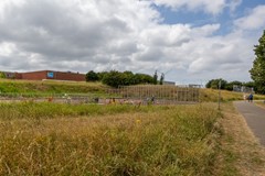 Koolzaadveld 1D8A0147-HDR.jpg