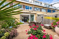 21. Koolzaadveld 7  1D8A0129.jpg
