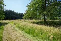 Nieuw in verkoop: Penderskoolhofweg 4, 6343 RG Klimmen