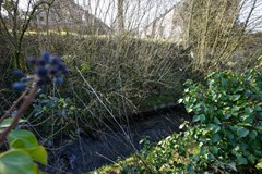Verkocht: Mesweg 40, 6287 BJ Eys