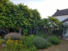 Verkocht: Commandeurstraat 26, 6281 AM Mechelen