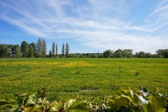 Verkocht: In het Diepe Broek 15, 6271 AS Gulpen