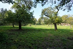 Verkocht: Beutenaken 4, 6278 NA Beutenaken