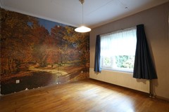 foto (1).JPG
