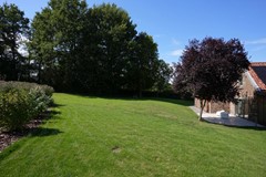 DSC07844.JPG