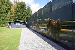 foto (13).jpg