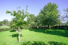 foto (40).jpg