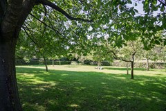 foto (38).jpg
