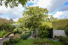 foto (57).jpg