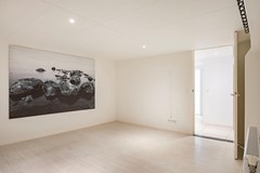 Groen_van_Prinstererstraat_40_Arnhem_38.jpg