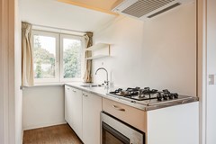Groen_van_Prinstererstraat_40_Arnhem_52.jpg