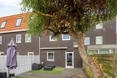 Steenuillaan32496PNsGravenhage-47.jpg