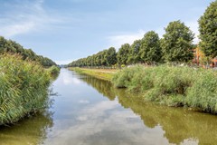 Steenuillaan32496PNsGravenhage-55.jpg