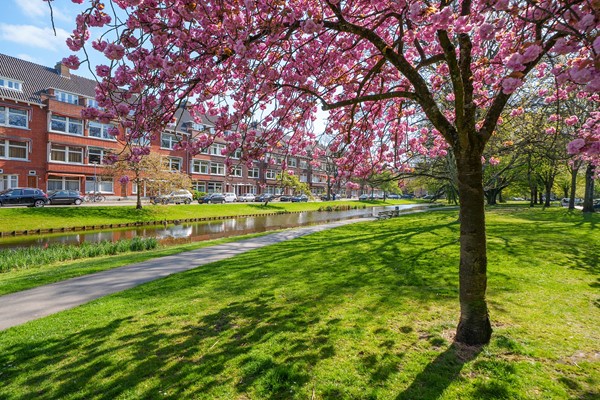 Medium property photo - Statensingel 124C, 3039 LV Rotterdam
