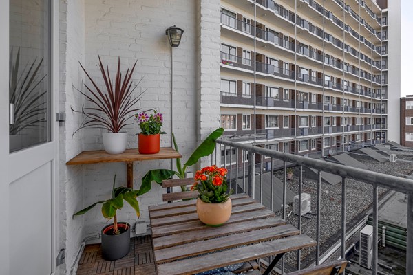 Medium property photo - Stadhoudersweg 53C, 3038 EG Rotterdam