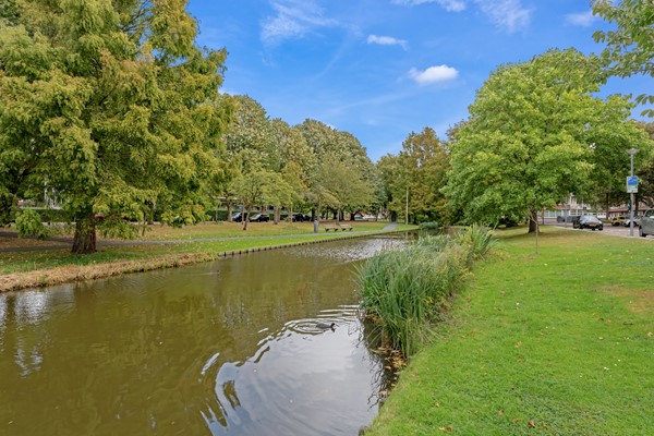 Medium property photo - Statensingel 154B, 3039 LW Rotterdam