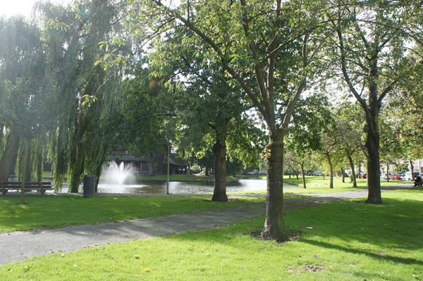 Medium property photo - Geertsemastraat 11A, 3038 XA Rotterdam