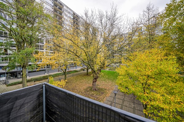 Medium property photo - Joost Banckertsplaats 12B, 3012 HA Rotterdam