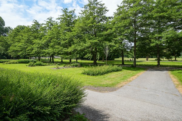 Medium property photo - Van Vlooswijkstraat 11A, 3039 TN Rotterdam