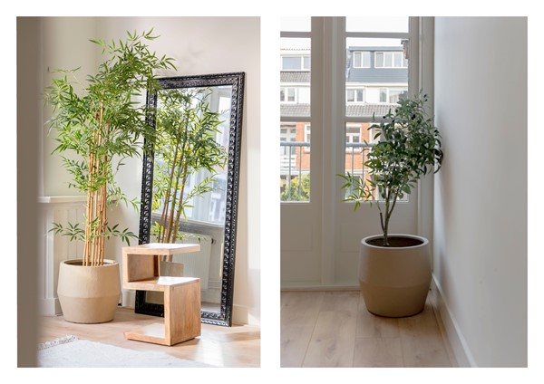 Medium property photo - Lisbloemstraat 65B, 3051 TP Rotterdam