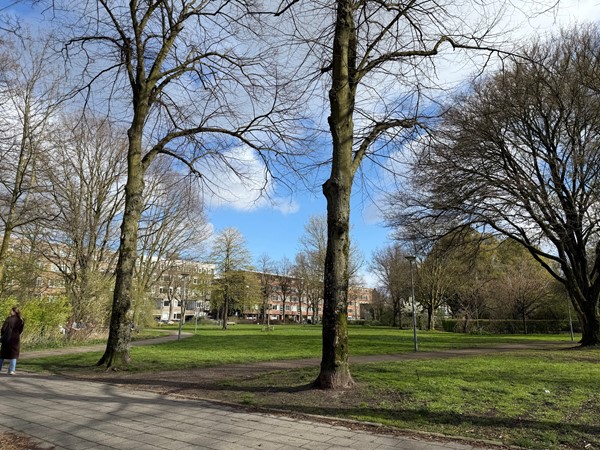 Medium property photo - Noorderhavenkade 77A, 3039 RK Rotterdam