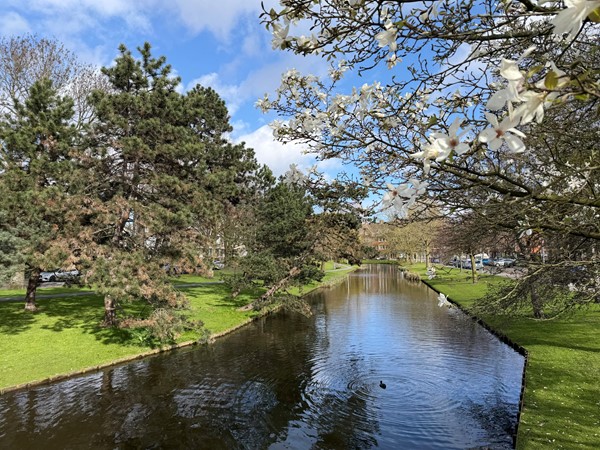 Medium property photo - Noorderhavenkade 77A, 3039 RK Rotterdam