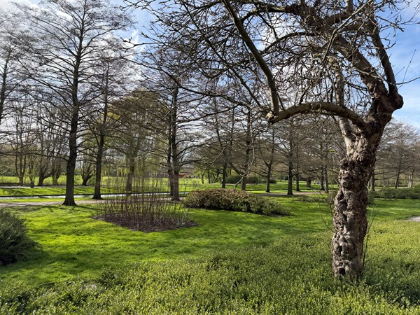 Medium property photo - Sonmansstraat 126A02, 3039 DP Rotterdam