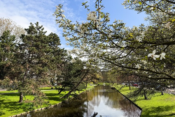 Medium property photo - Statensingel 154A, 3039 LW Rotterdam