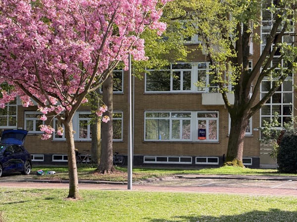 Te koop: Statensingel 154A, 3039LW Rotterdam