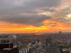 IMG_2587.jpeg